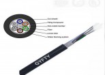 GYFTY 24SM MGS CABLE