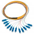BUNDLE PIGTAILS 12SM 1m. SC/PC